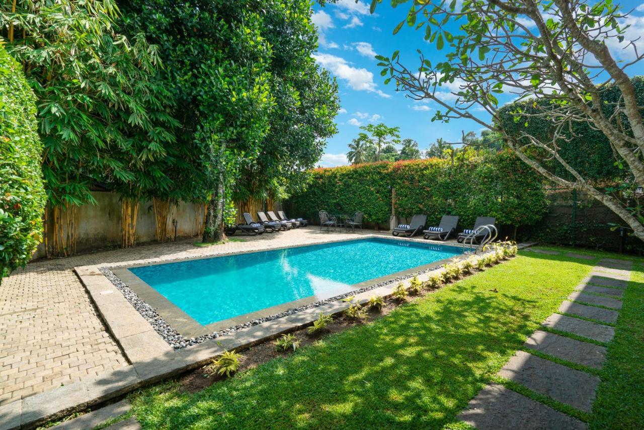 Clove Villa Kandy Bagian luar foto